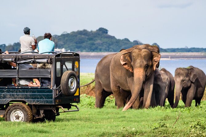 Wildlife Tour of Yala & Udawalawe